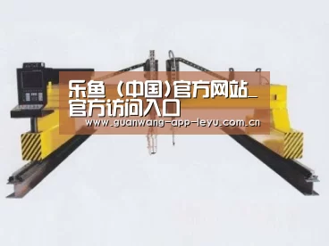 产品名称十七