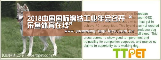 2018中国国际镍钴工业年会召开“乐鱼体育在线”(图1) 乐鱼电竞