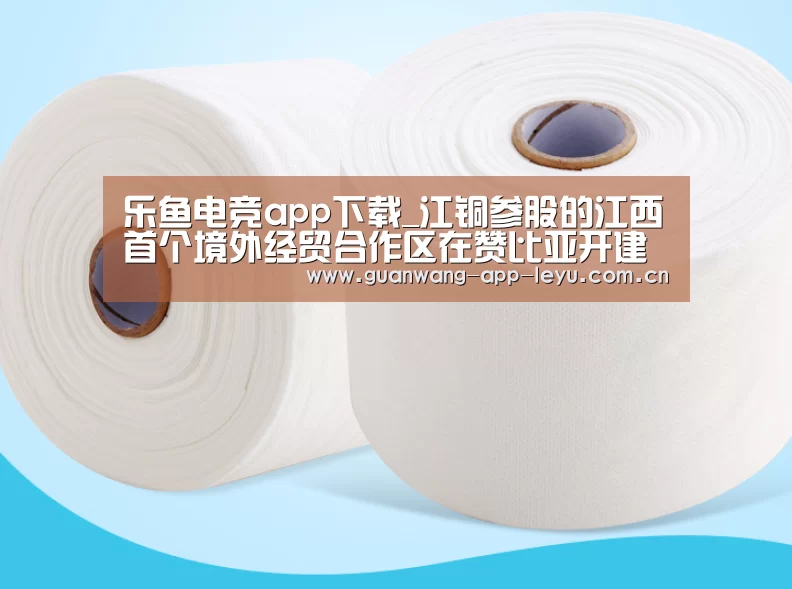 乐鱼电竞app下载_江铜参股的江西首个境外经贸合作区在赞比亚开建(图2) 乐鱼电竞官网