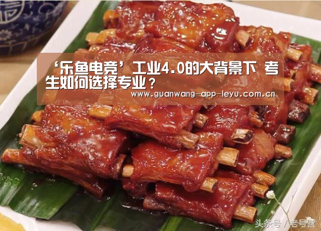 ‘乐鱼电竞’工业4.0的大背景下 考生如何选择专业?(图1) 乐鱼电竞app下载