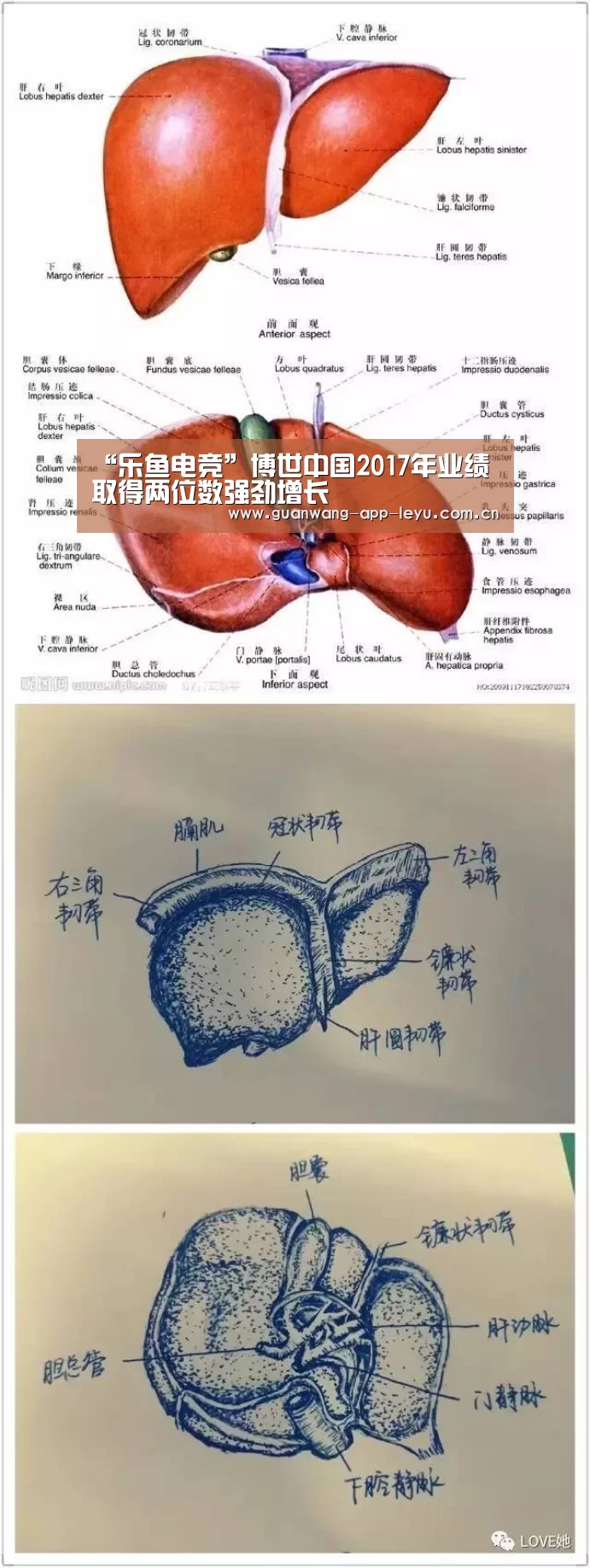 “乐鱼电竞”博世中国2017年业绩取得两位数强劲增长(图3) 乐鱼电竞app下载