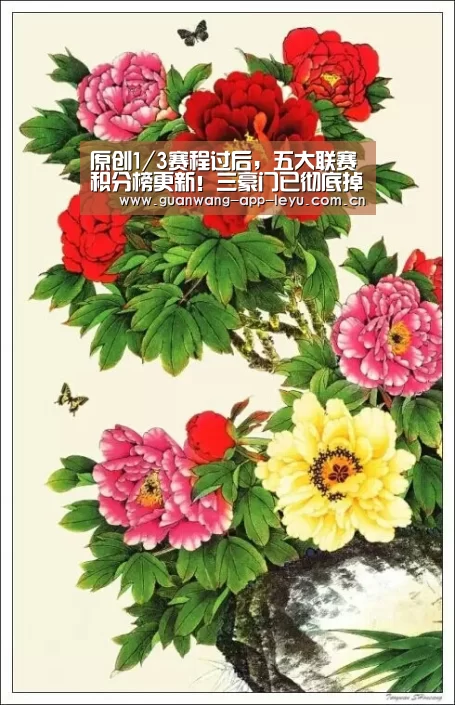 乐鱼电竞官网
